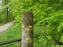 Maiwanderung 12